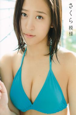 日韩欧美高清DVD碟片
